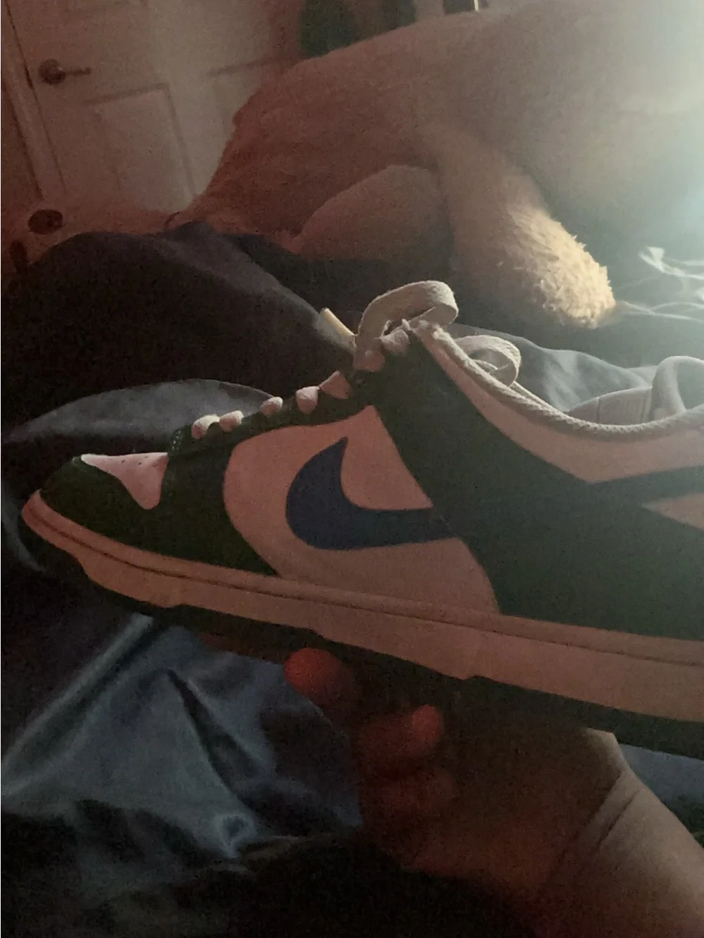 Nike Green White Blue Low-Top Athletic Sneakers